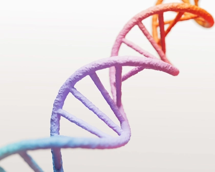DNA struttura