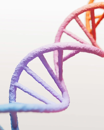 DNA struttura