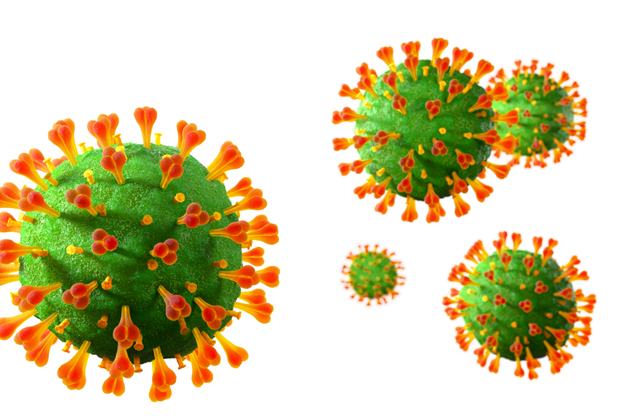 Coronavirus GSK
