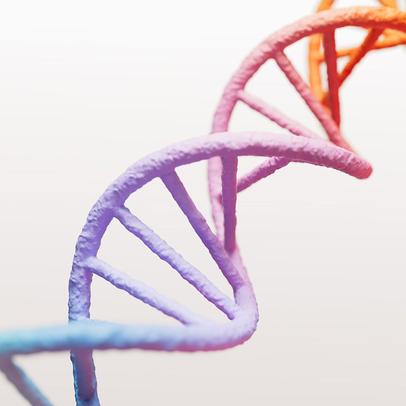 DNA struttura