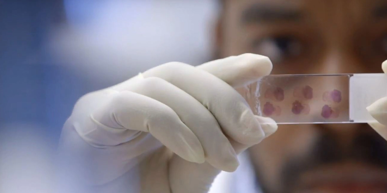 Finding a cure