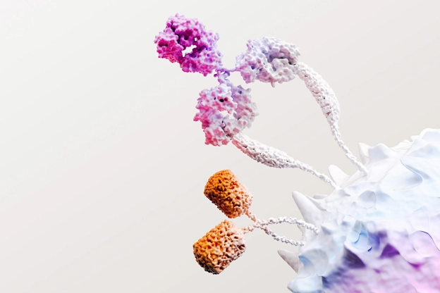 Immagine immuno-oncologia