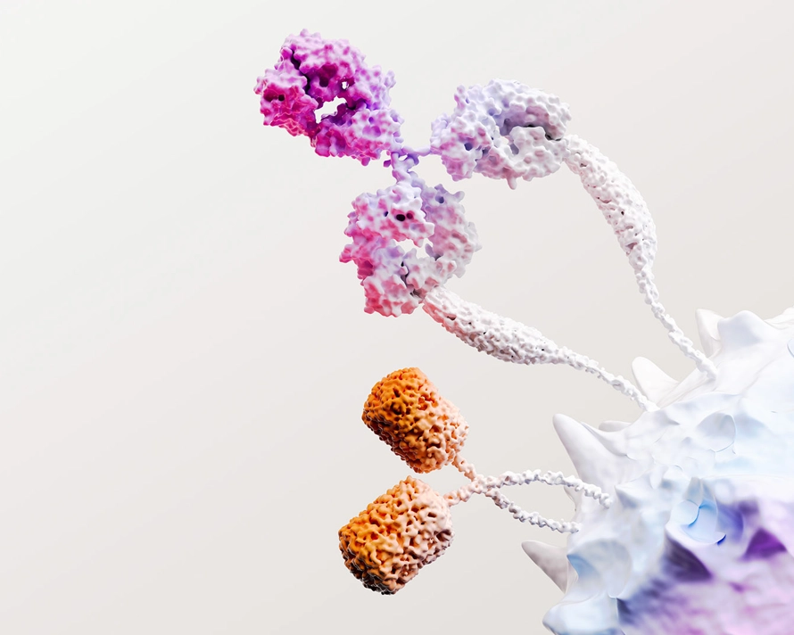 Immagine immuno-oncologia