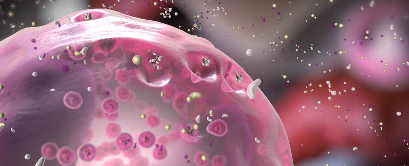 Eosinophils – a type of white blood cell