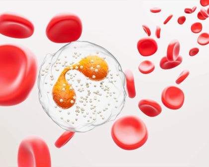 Immagine eosinofili